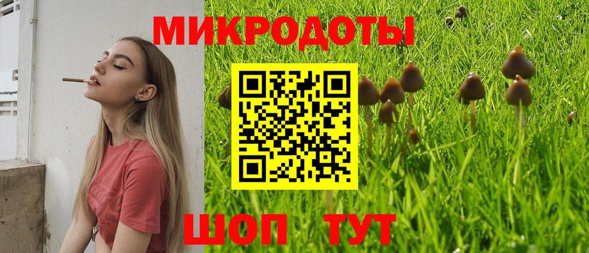 Энгельс  Псилоцибиновые грибы мухоморы  Вход с VPN  Галлюциногенные грибы ЛСД 